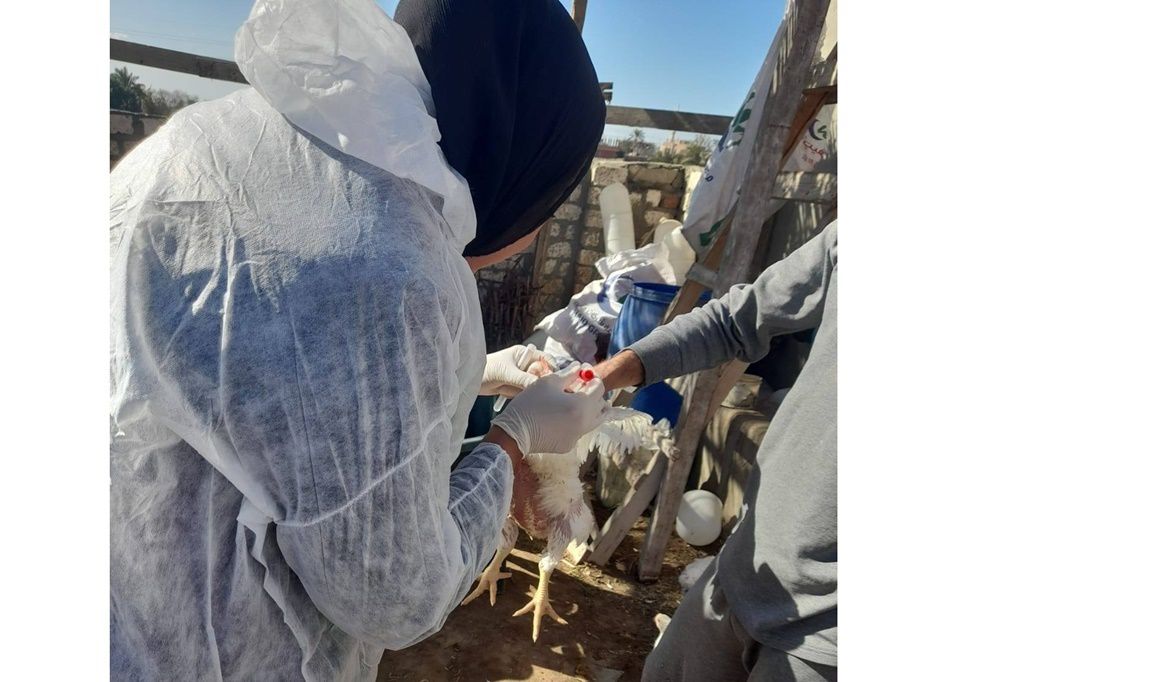 أعمال التقصي شملت الأسواق في 9 محافظات…