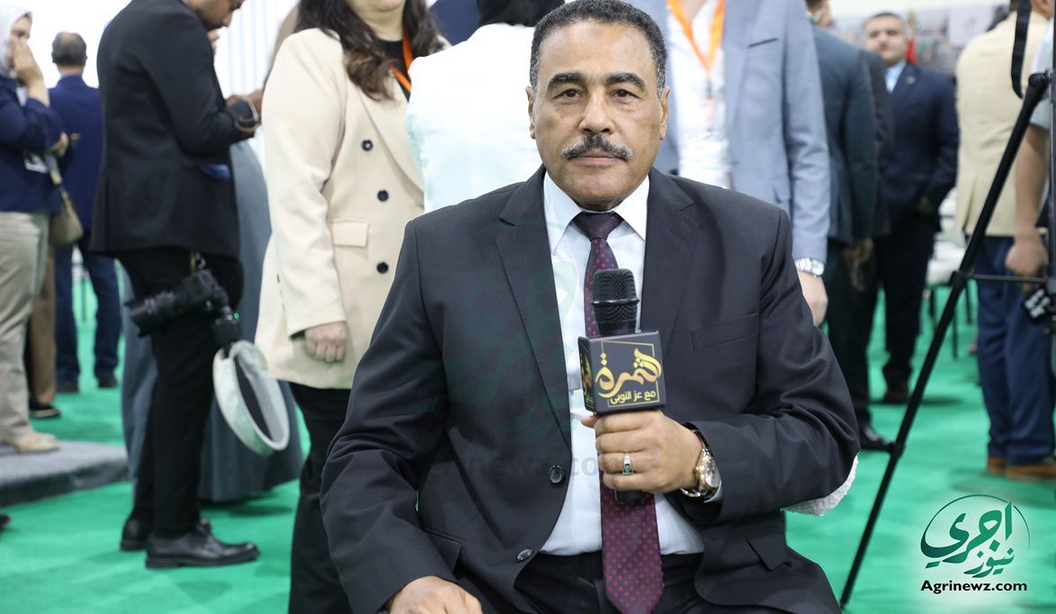 سيوة قلب إنتاج التمور في مصر بـ 850 ألف نخلة و14 …