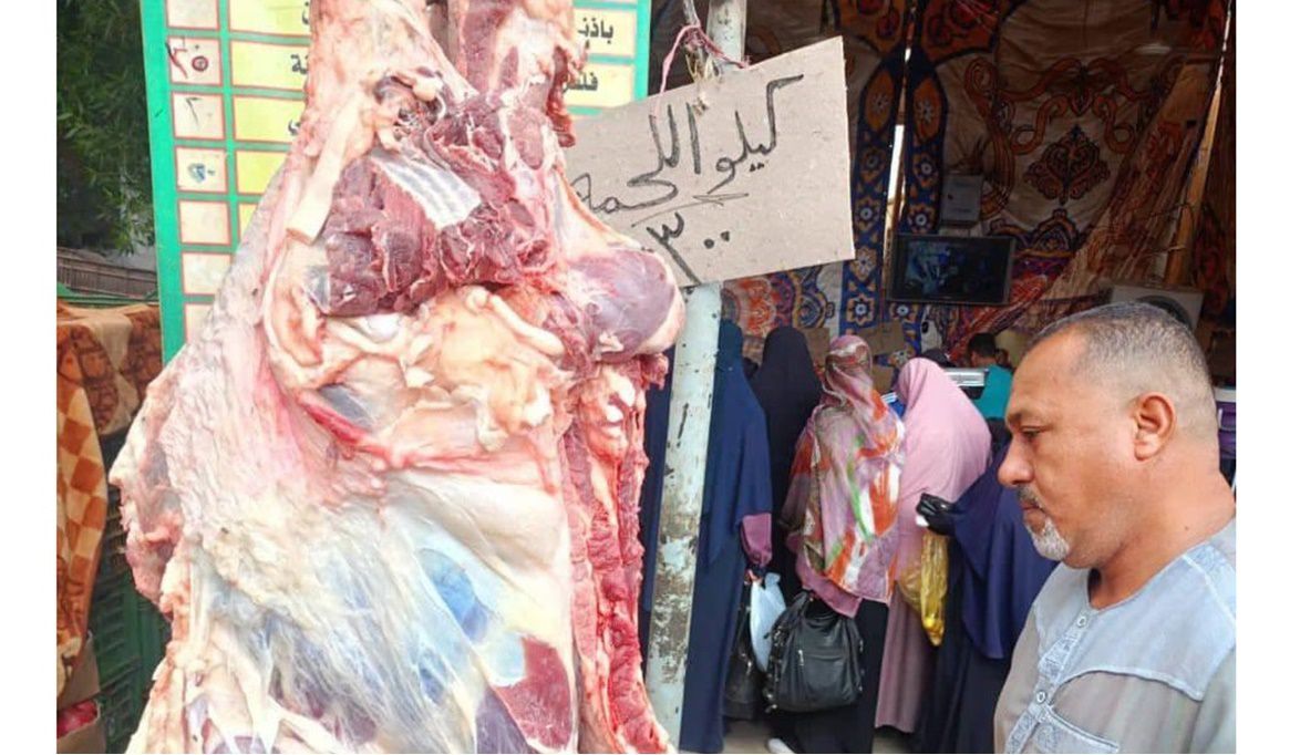 مبادرة جديدة لتخفيف الأعباء عن المواطنين.. لحوم طازجة بـ 300 ج…