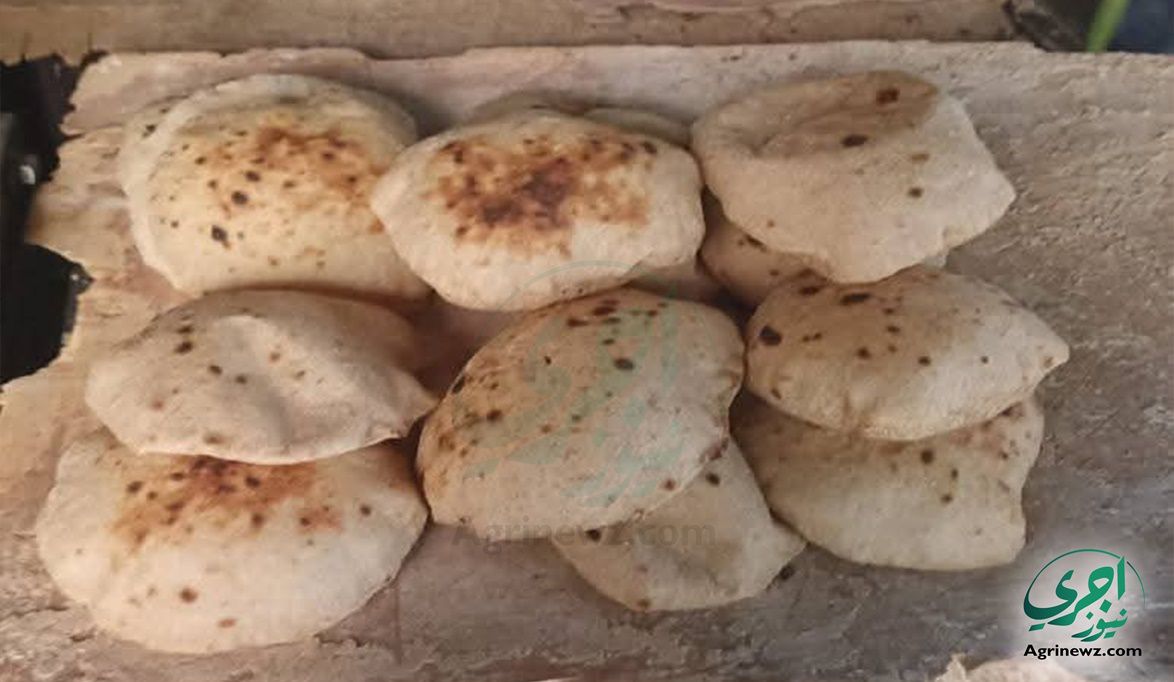 لا صحة لرفع سعر الخبز المدعم .. والدولة ملت…