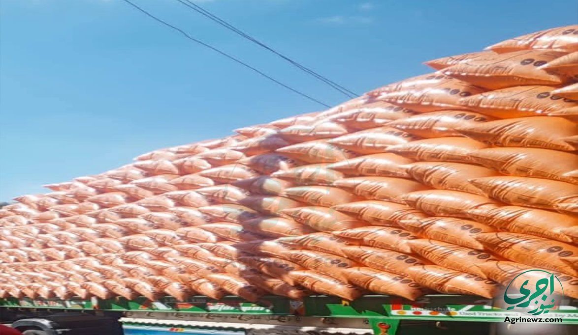 تجهيزات مكثفة استعدادًا لانطلاق عملية صرف الأسمدة للموسم الشتو…