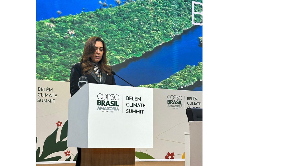 الهدف الجماعي الجديد للتمويل …