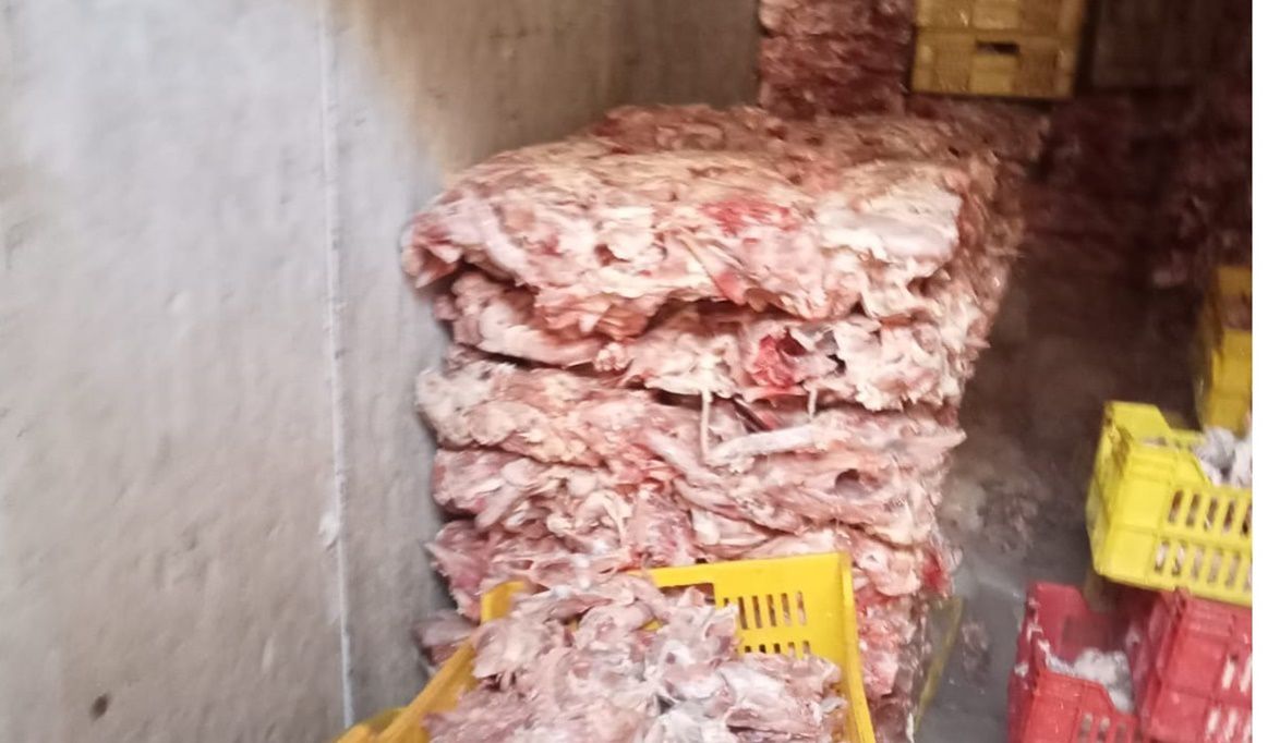 ضبط أكثر من 410 أطنان لحوم غير صالحة خلال أكتوب…