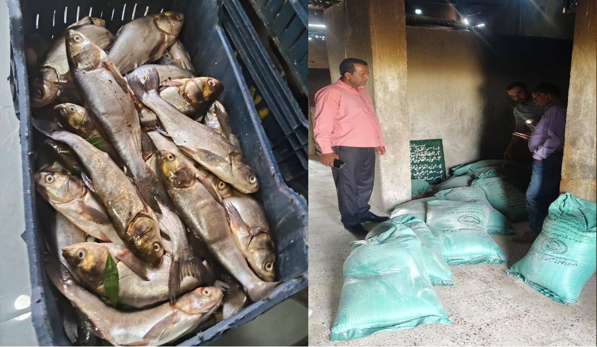 تكثيف الرقابة التموينية بالوادي الجديد تحرير 104 محاضر ومصادرة…