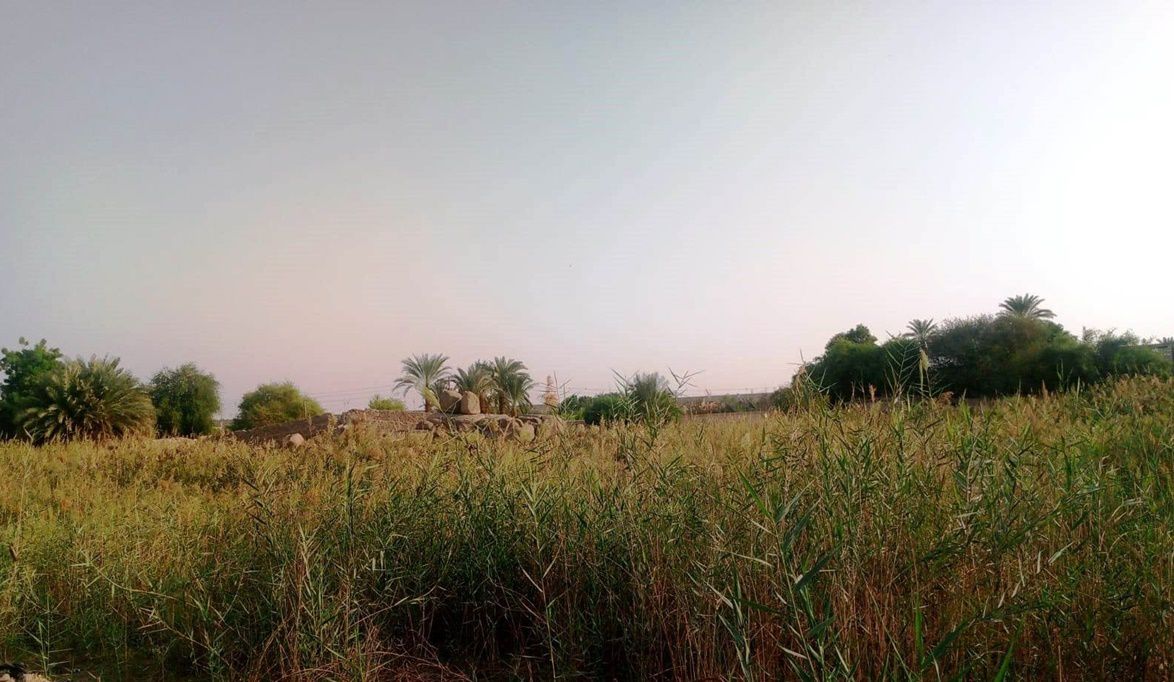 محافظ أسوان يعلن تخصيص أرض المشتل لإنشاء محطة 12 لرفع الصرف ال…