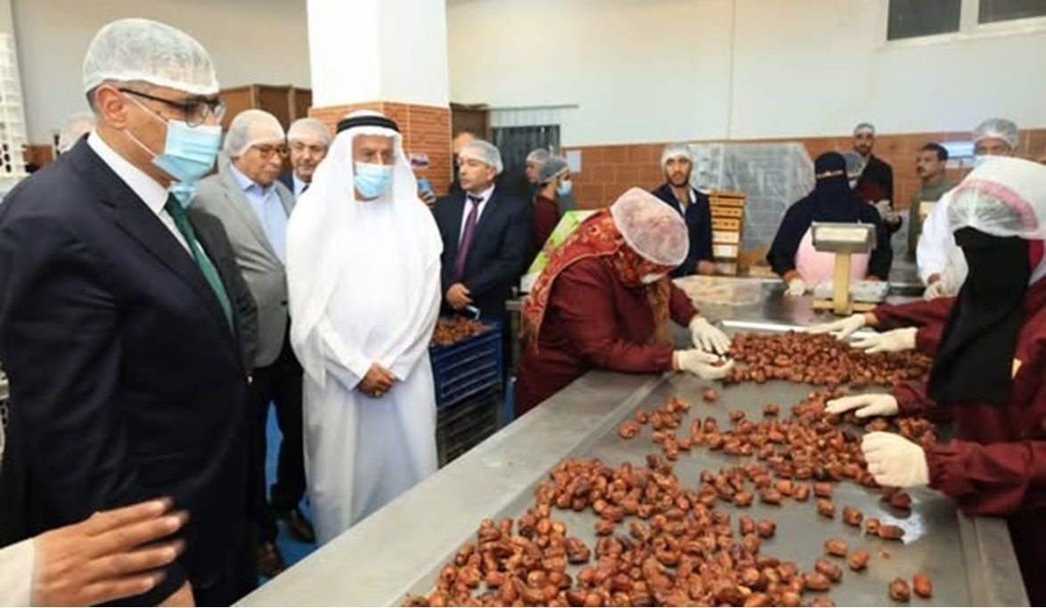 جولة المحافظين بالواحات البحرية لتعزيز صناعات التمور والزيتون …