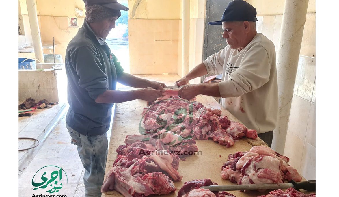لم أتهم الجزارين بشراء المواشي المريضة وبيعها ب…