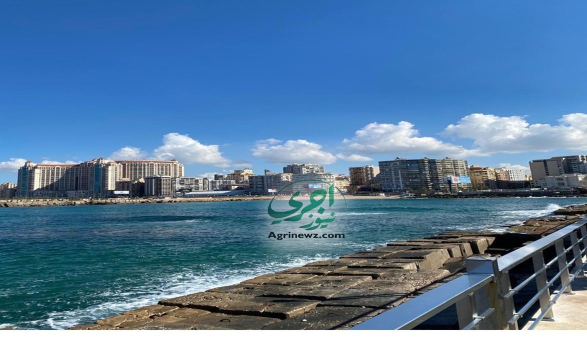 الأجواء مستقرة وفرص الأمطار ضعيف…