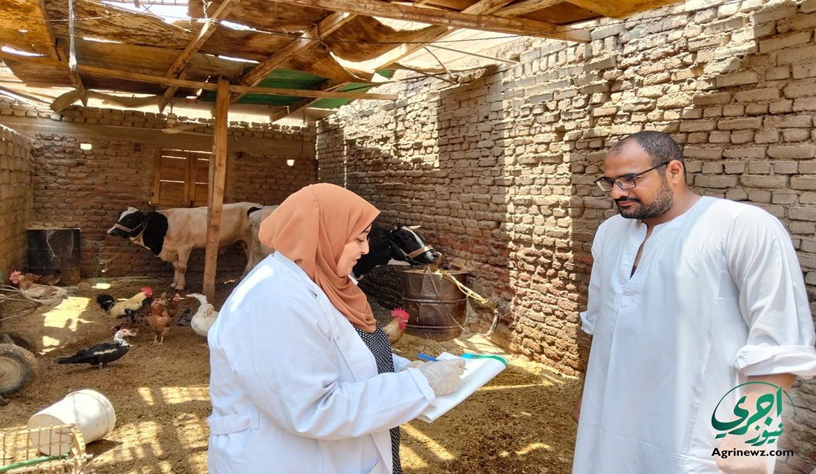 محافظ بني سويف يتابع الحملة القومية الثالثة لتحصين الثروة الحي…