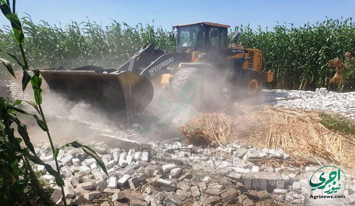 لمواجهة استغلال انشغال الأمن بالانتخابات البرلمانية.. “الزراعة…