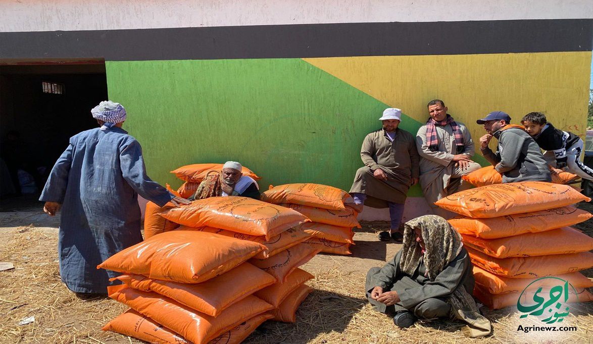 غدا.. الزراعة صرف الأسمدة الشتوية وسعر الشيكارة 269 جنيهًا للي…