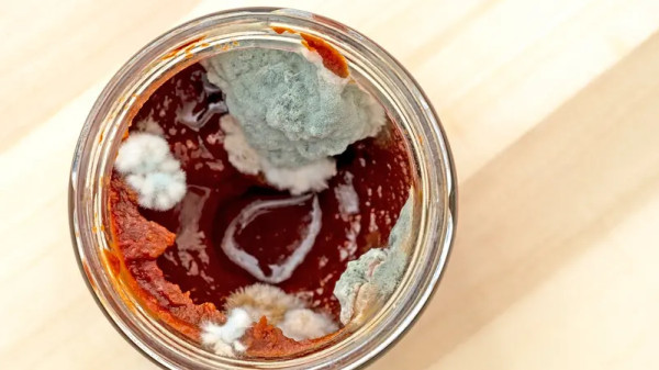 لا تستخدم معجون الطماطم بعد إزالة العفن