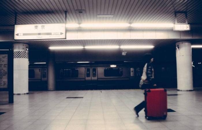 «جُنَح دبي» تقضي بحبس خادمة لسرقتها حقيبة سفر