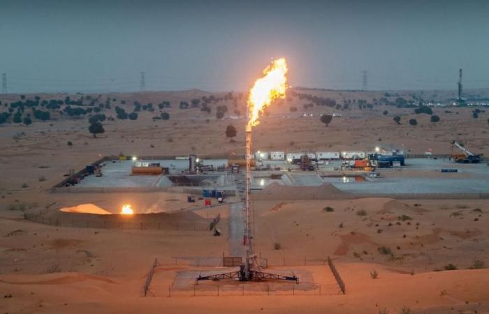 «نفط الشارقة» تعلن إنجاز حفر واختبار البئر الثانية في حقل «هديبة»